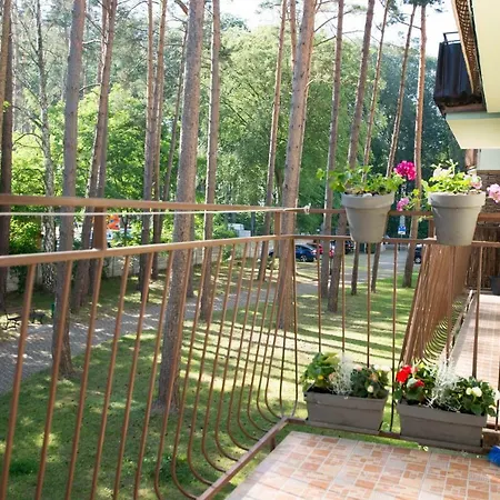 Makadi * מידזיזדרויה