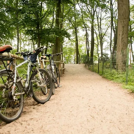 Makadi * מידזיזדרויה