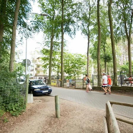 Makadi * מידזיזדרויה