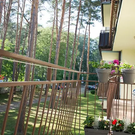 Makadi * מידזיזדרויה