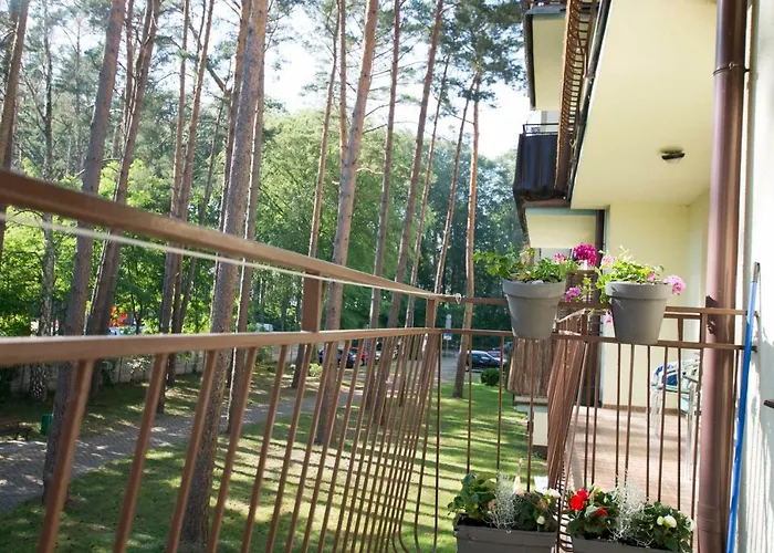 Makadi * Мендзыздрое